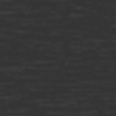 Antracyt_struktura_drewna