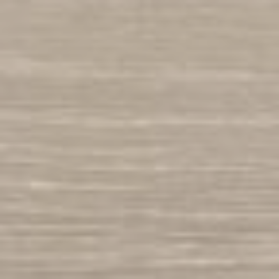 Dąb-Sheffield-jasny