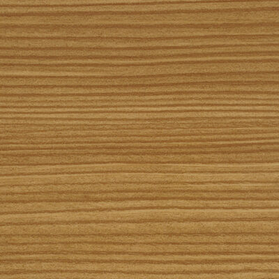 GEA 08 Sosna górska